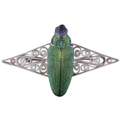 Antique French Scarab Beetle Brooch Art Nouveau, circa 1900