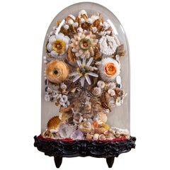 Antique French Sea Shell Floral Display under Glass Dome, France, circa 1870