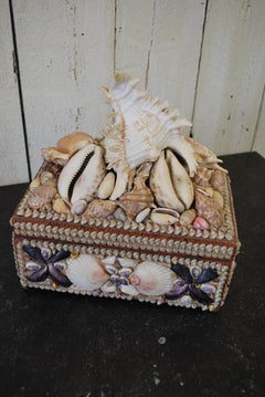 Antique French seashell  Decorative Jewellery /curios Box, Circa 1900