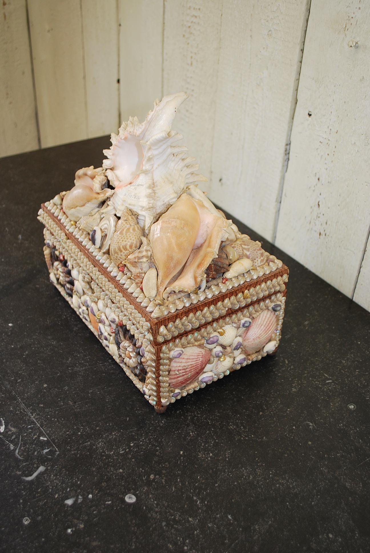 20th Century Antique French seashell  Decorative Jewellery /curios Box, Circa 1900 For Sale