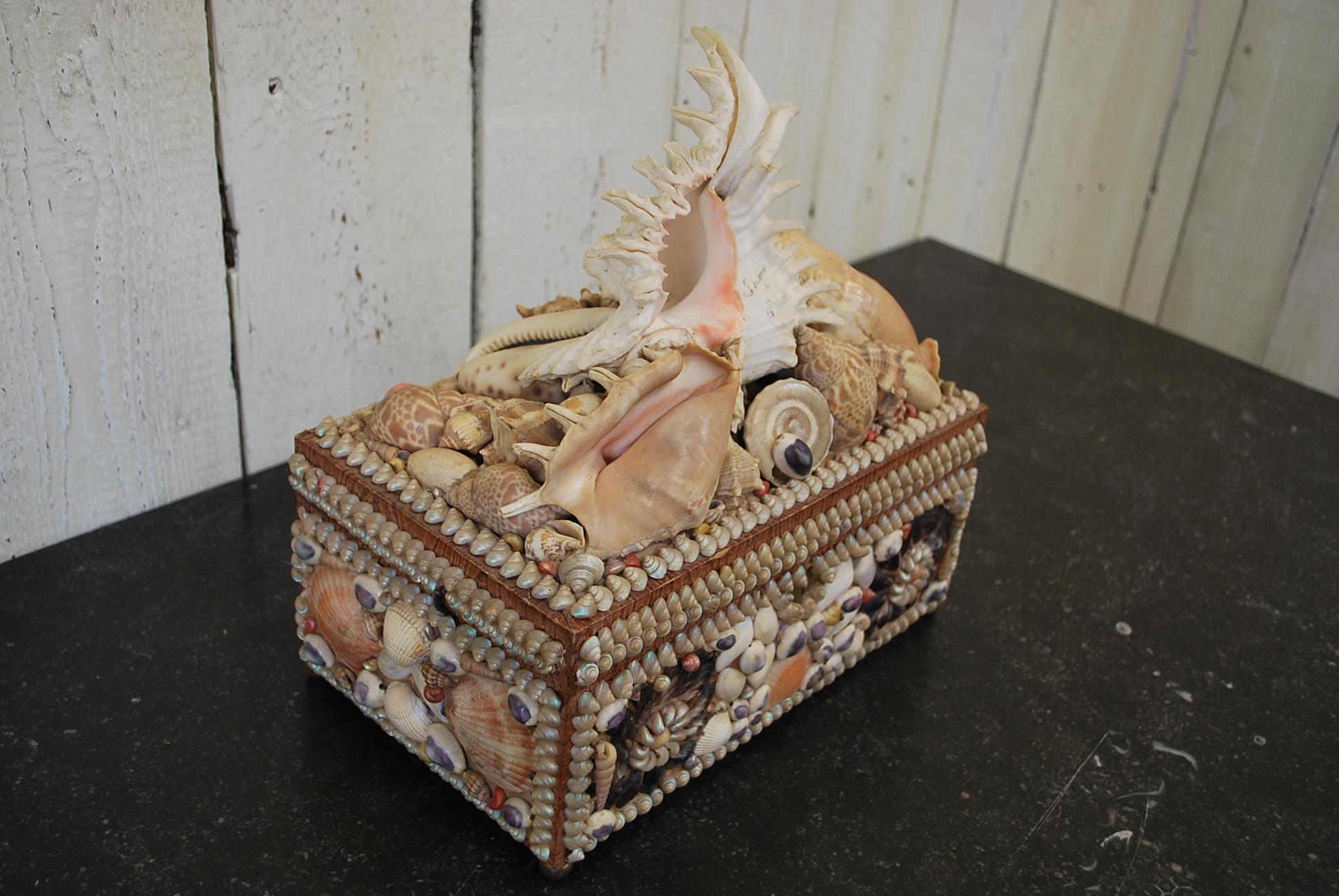 Shell Antique French seashell  Decorative Jewellery /curios Box, Circa 1900 For Sale