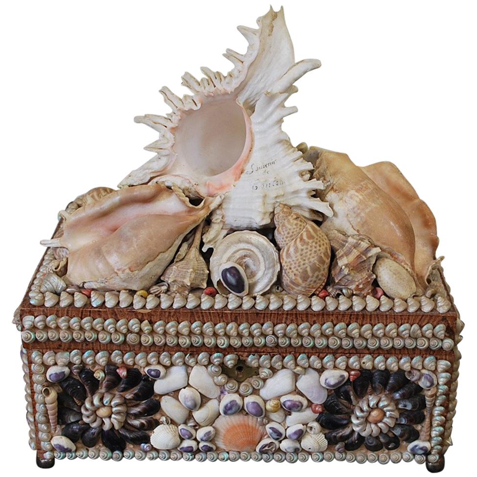 Antique French seashell  Decorative Jewellery /curios Box, Circa 1900 For Sale