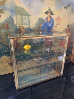 Ancienne vitrine en laiton de Siegel - Vitrine