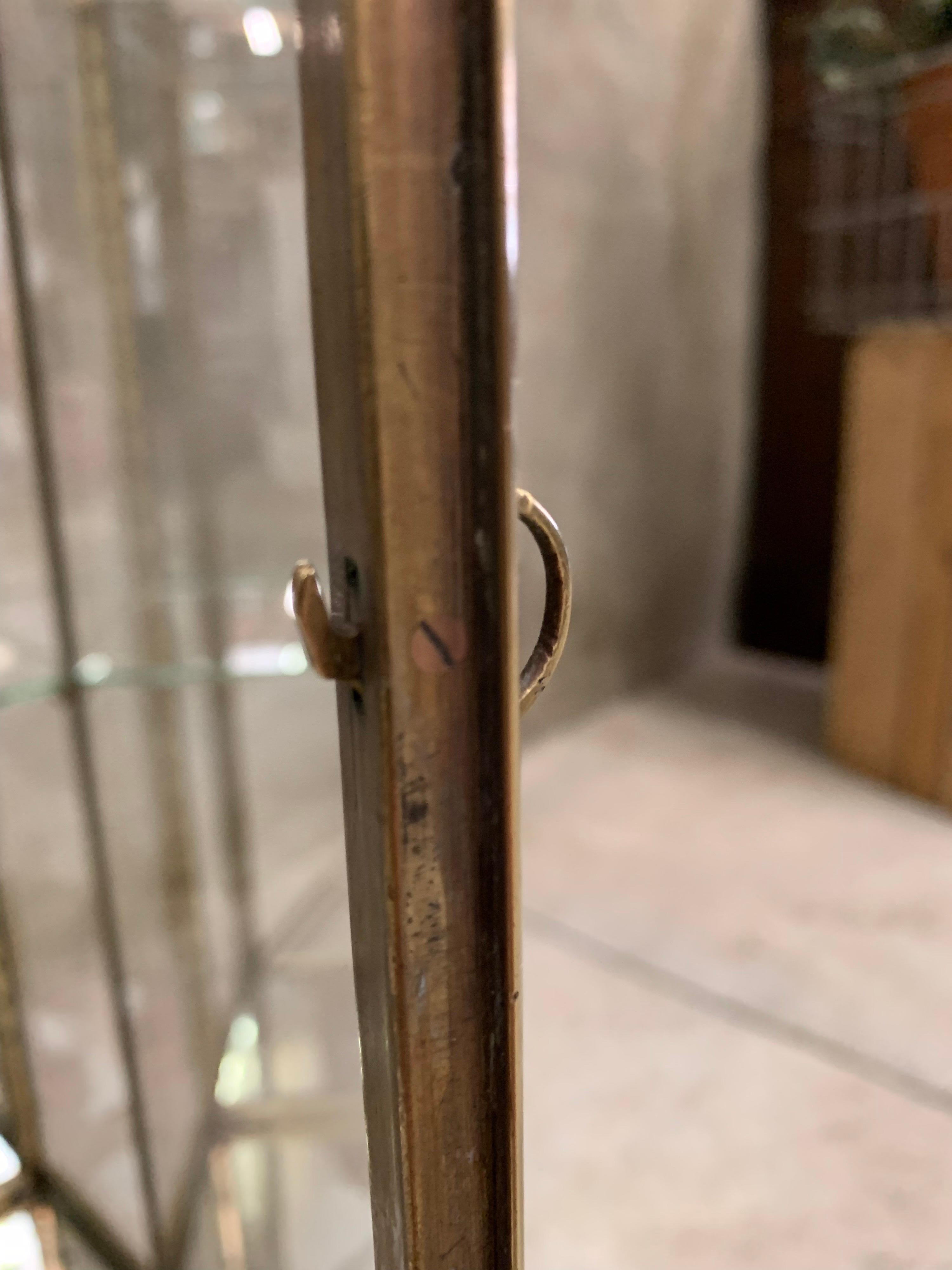 Antique French Siégèl Paris brass display cabinet. Early 1900's 10