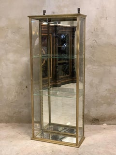 Antique French Siégèl Paris brass display cabinet. Early 1900's