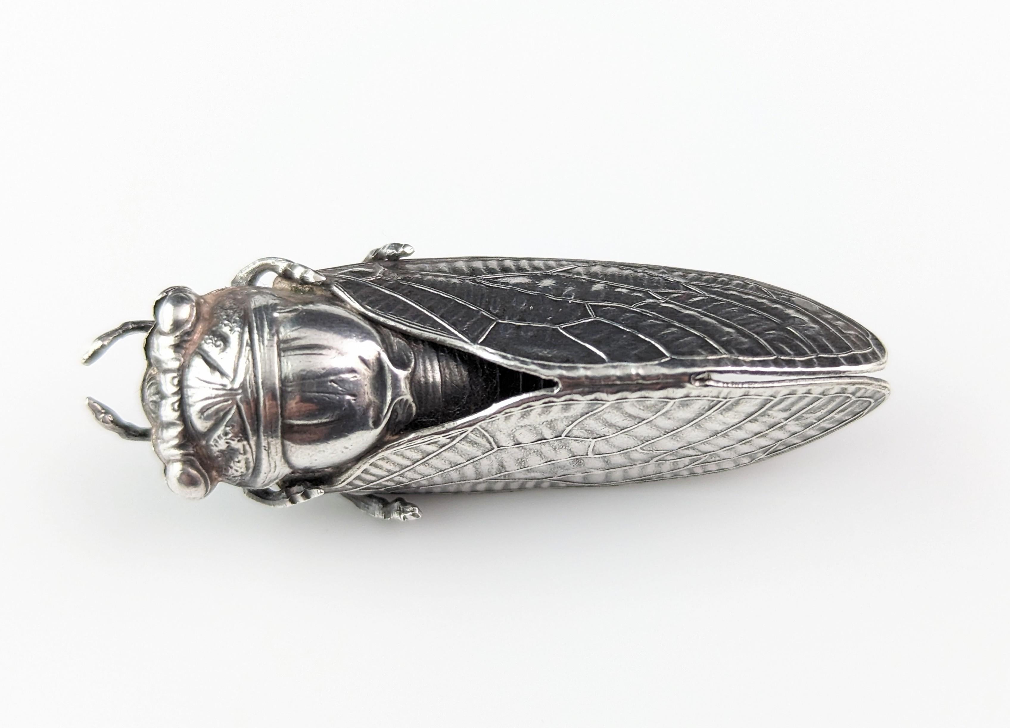 Antique French silver cicada brooch, Art Nouveau  For Sale 4