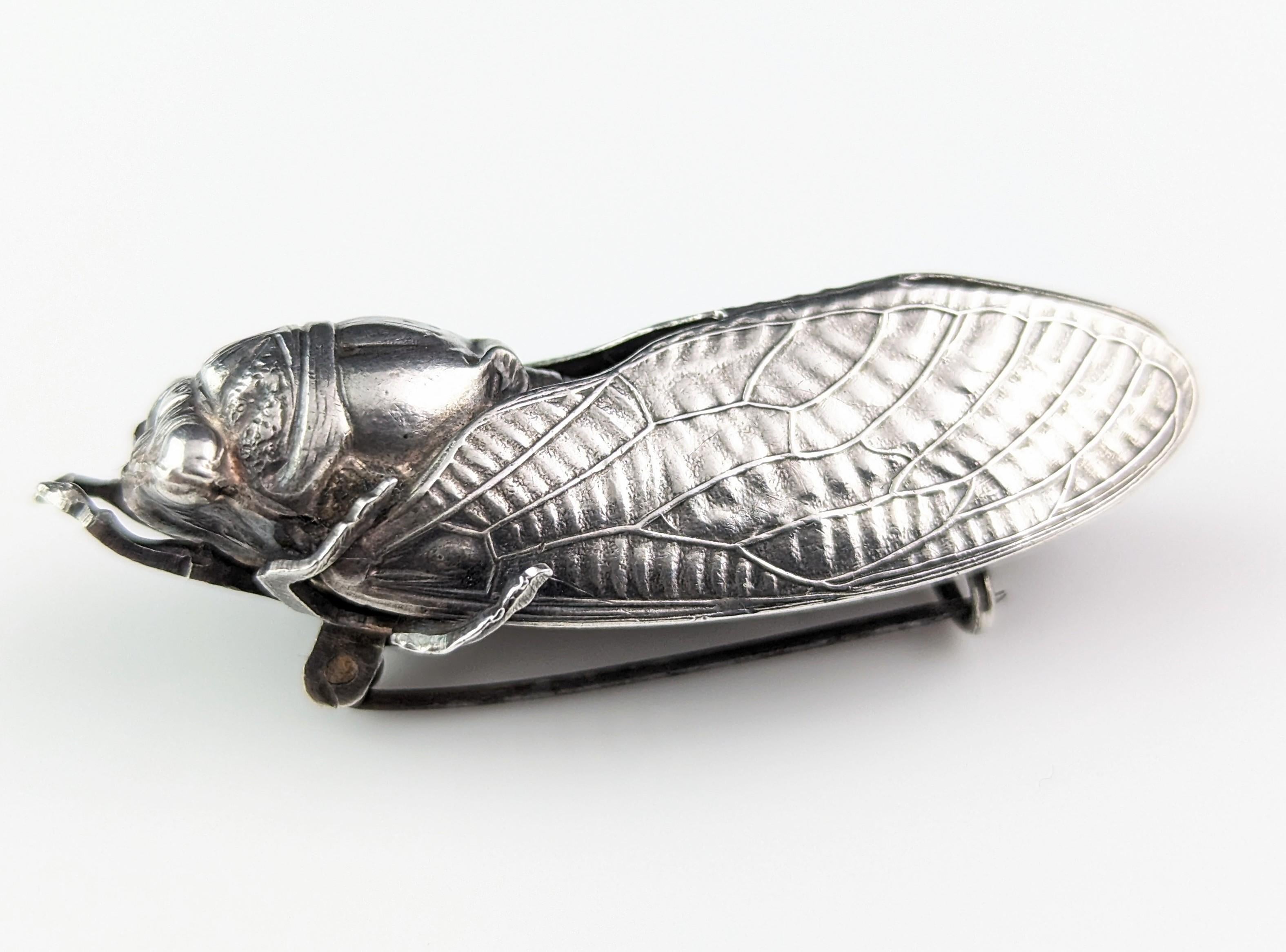 Antique French silver cicada brooch, Art Nouveau  For Sale 5
