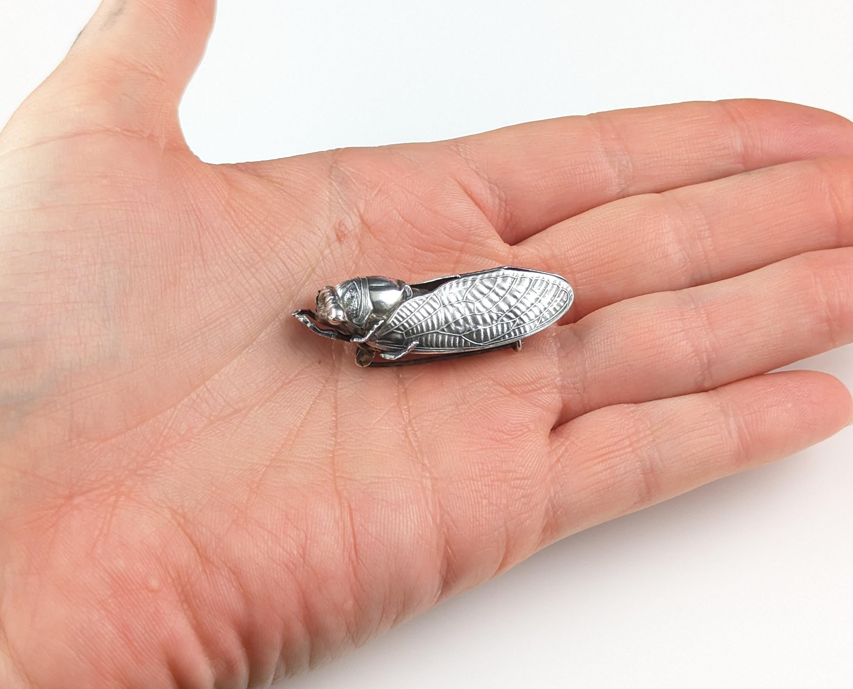 Antique French silver cicada brooch, Art Nouveau  For Sale 7