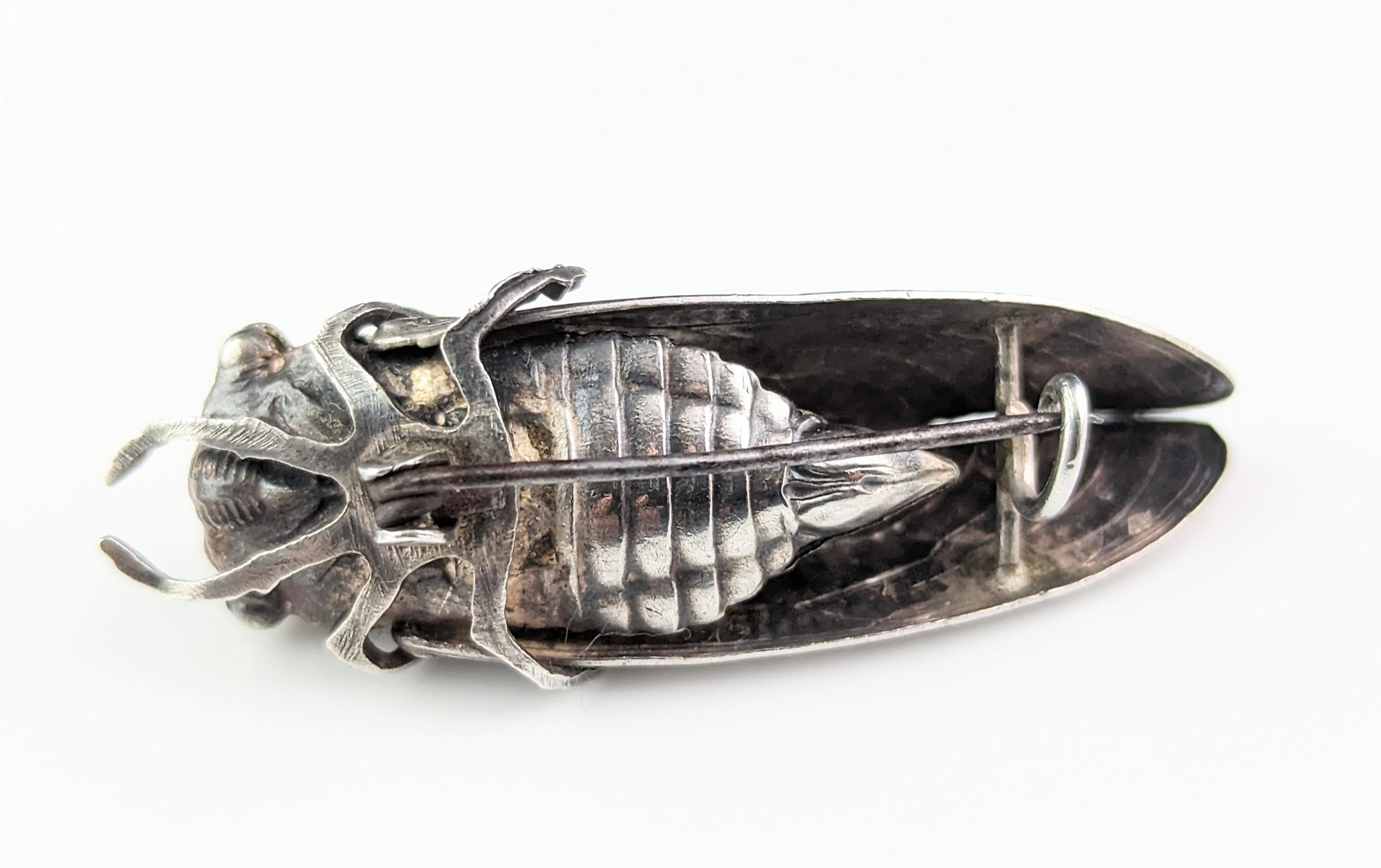 Antique French silver cicada brooch, Art Nouveau  For Sale 8