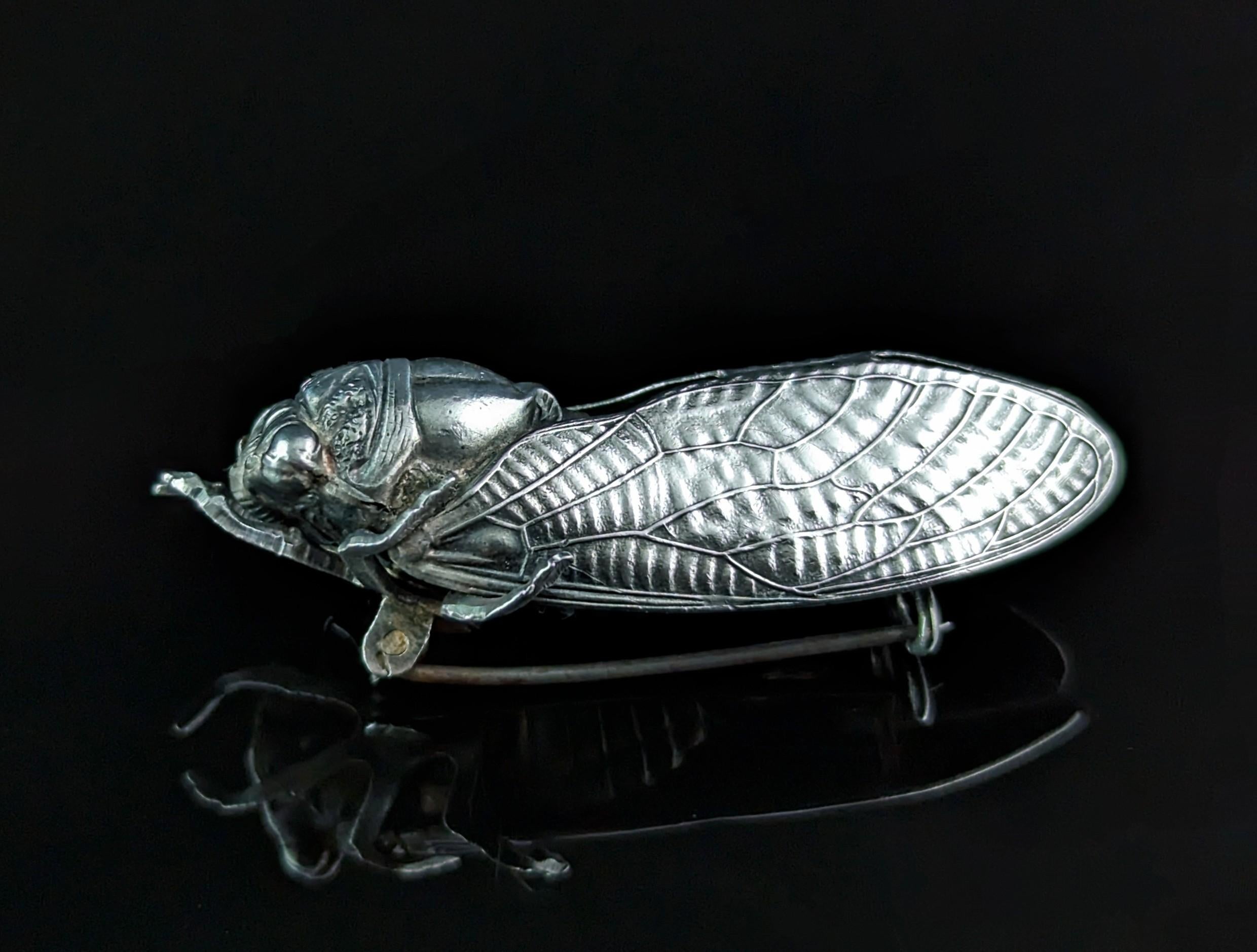 A very well detailed and substantial antique French silver cicada brooch.

There is so much fine detailing on this piece and with that and the accuracy in size it has a very lifelike feel to it.

The Cicada has a long history in jewellery with