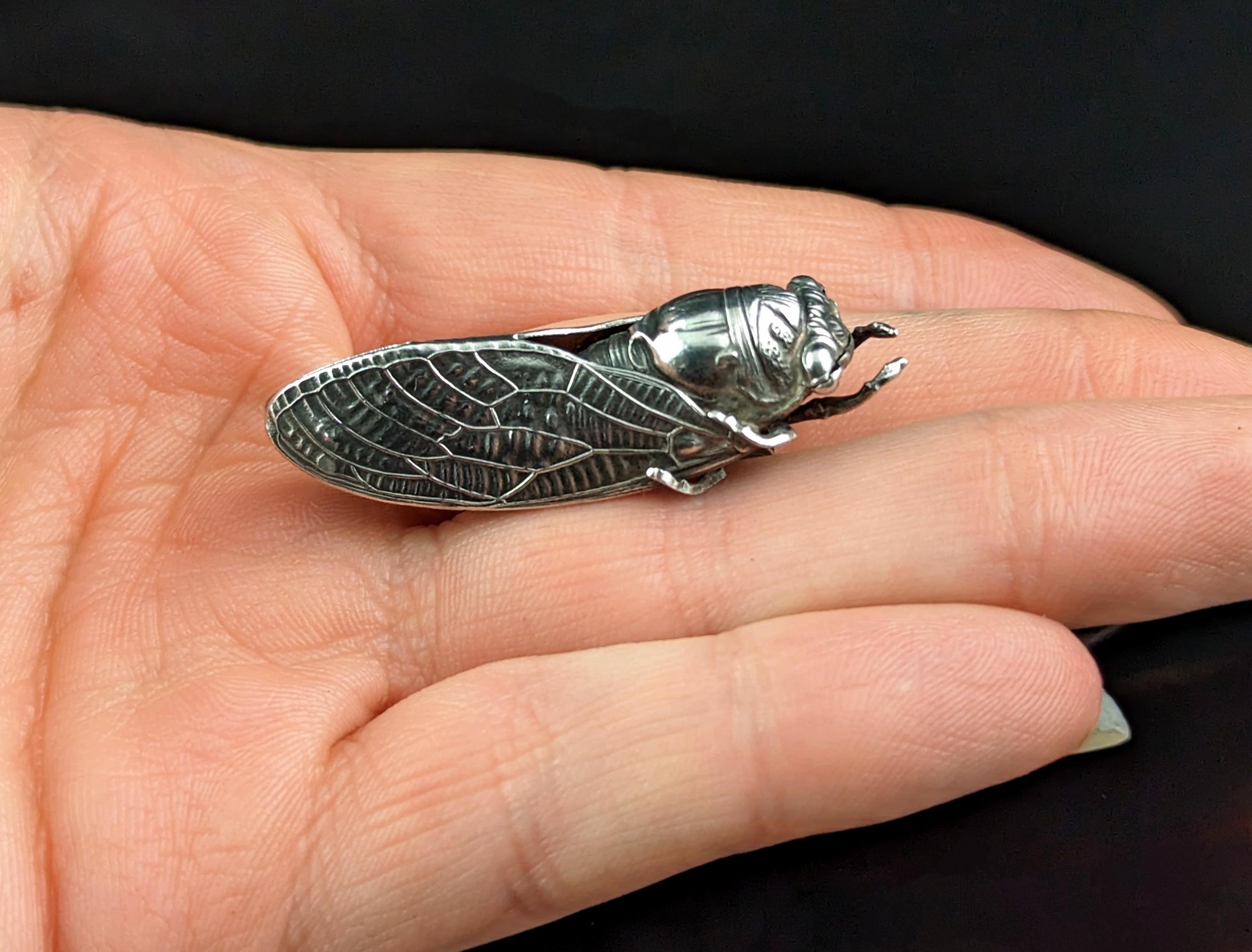 Antike französische Cicada-Brosche aus Silber, Art Nouveau  im Angebot 1