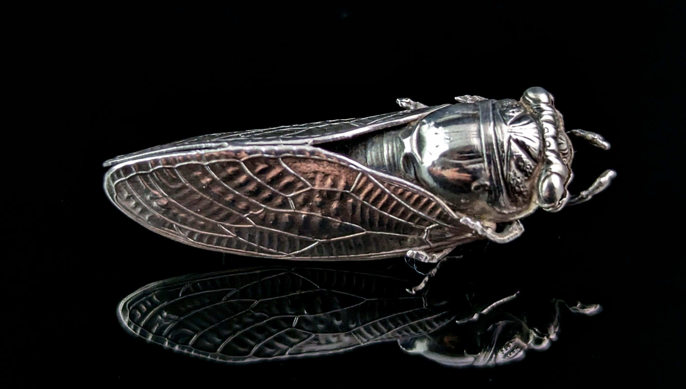 Antique French silver cicada brooch, Art Nouveau  For Sale 1
