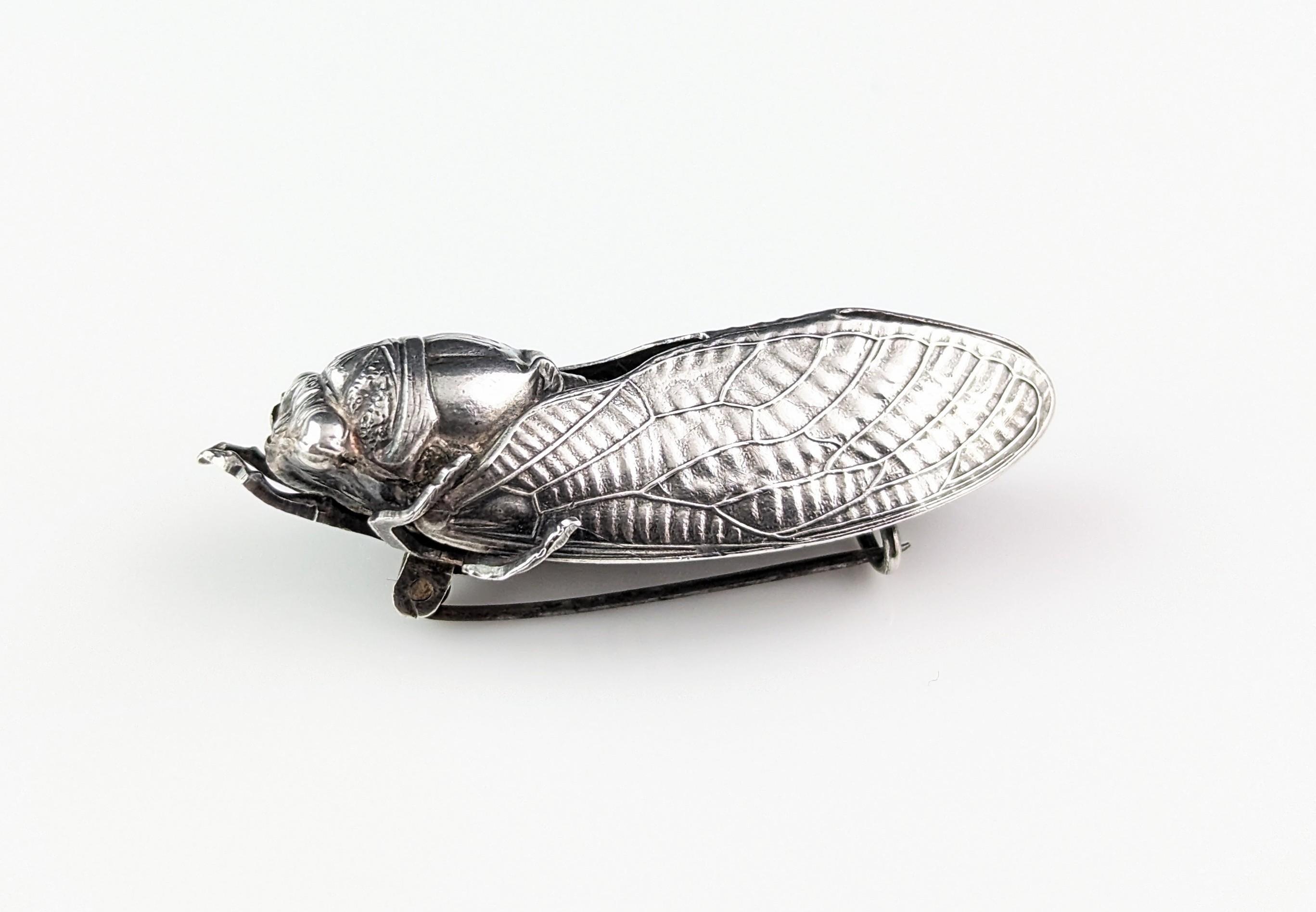 Antique French silver cicada brooch, Art Nouveau  For Sale 2