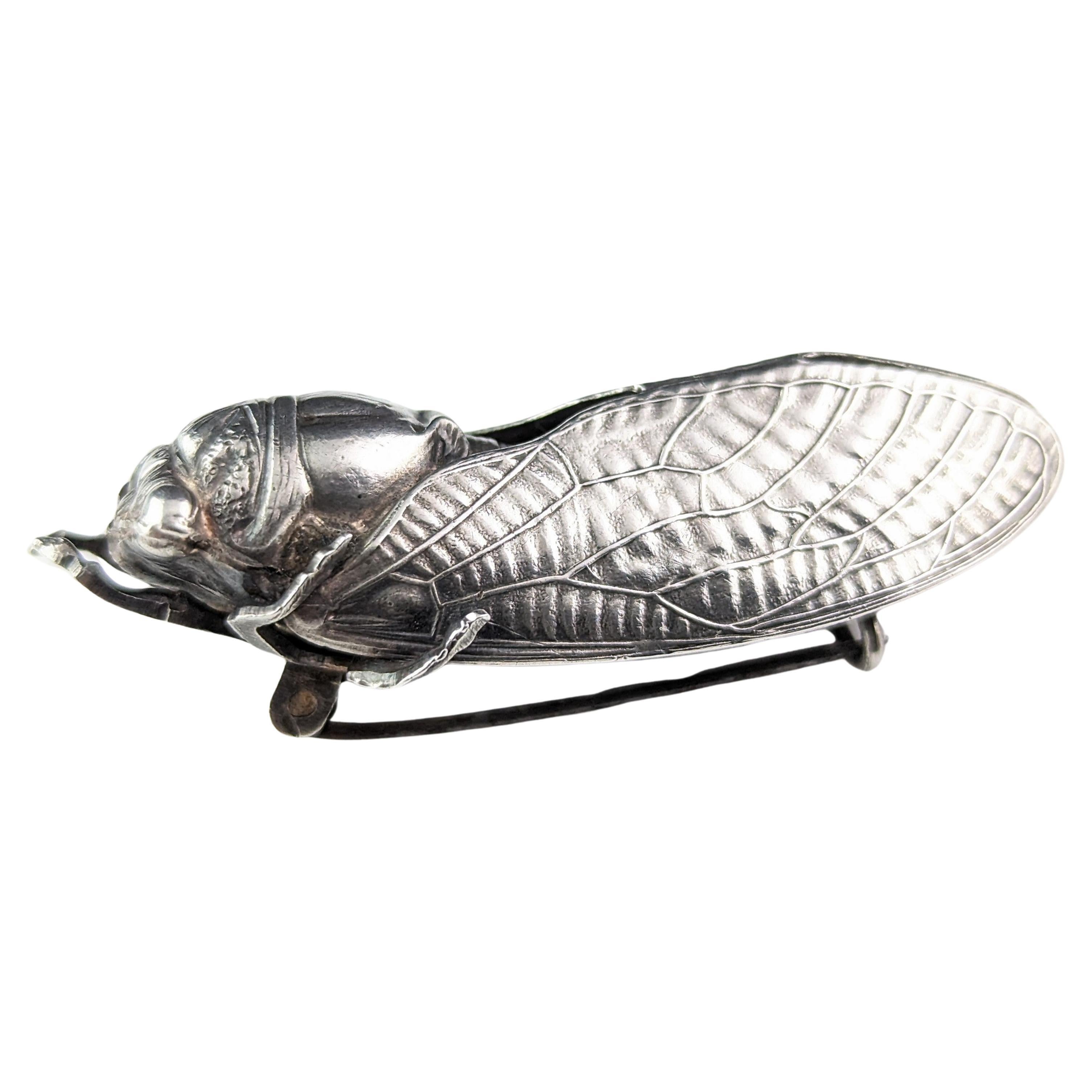Antique French silver cicada brooch, Art Nouveau  For Sale