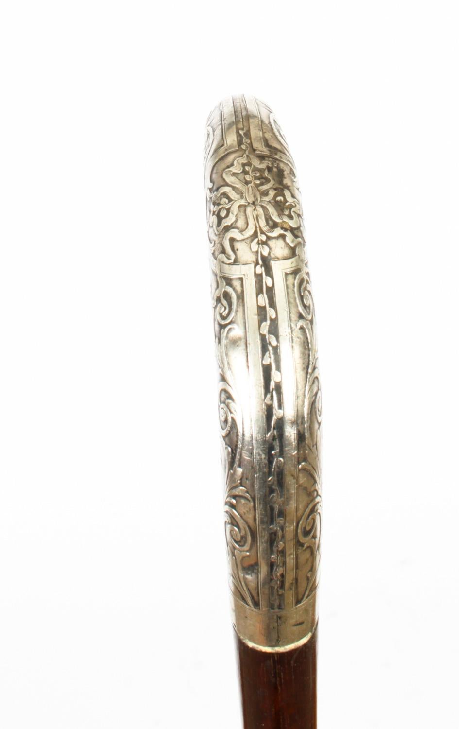 Antique French Silver Dragon head Walking Cane Stick 19th Century 2