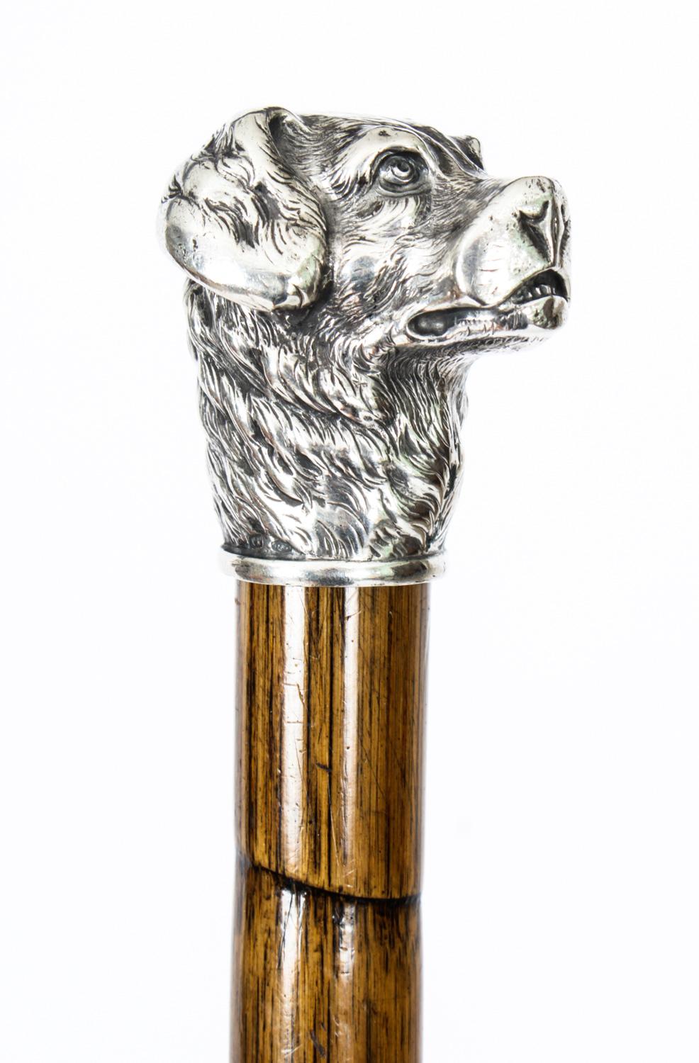 This is a fantastic antique French sterling silver alert gun dog ebonised walking stick by maker TP, with with export marks, circa 1900 in date .

It has a very decorative silver pommel depicting a finely cast dog with great attention to detail
