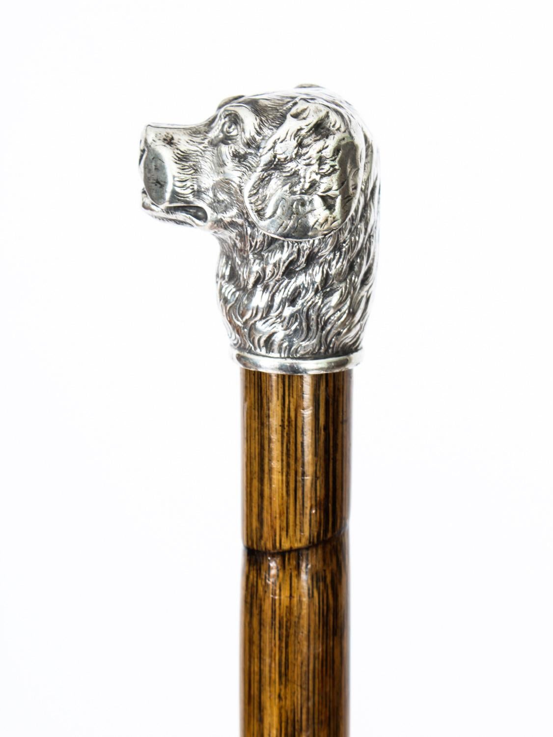 Antique French Sterling Silver Gun Dog Walking Cane Stick Dated 1900 In Good Condition In London, GB