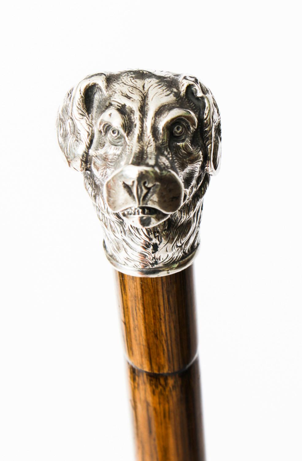Early 20th Century Antique French Sterling Silver Gun Dog Walking Cane Stick Dated 1900