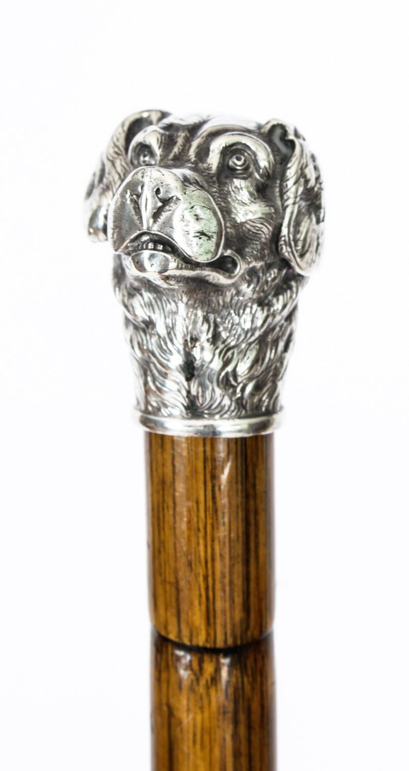 Bamboo Antique French Sterling Silver Gun Dog Walking Cane Stick Dated 1900