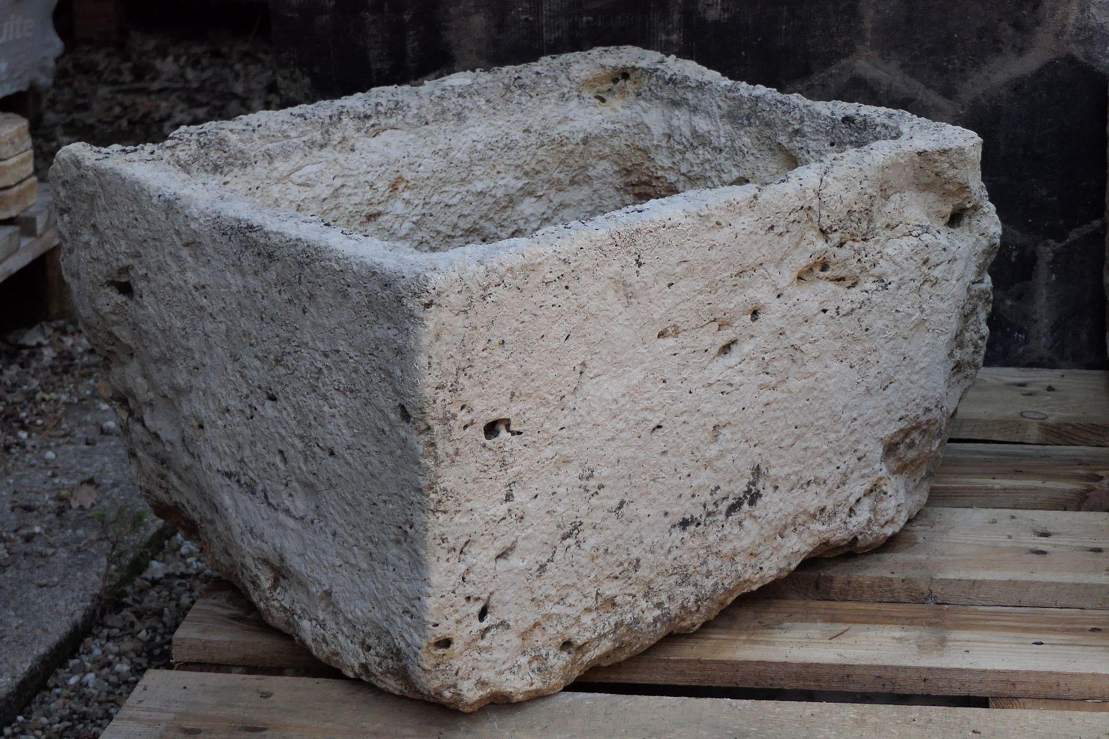 XIX secolo Abbeveratoio francese antico in pietra in vendita