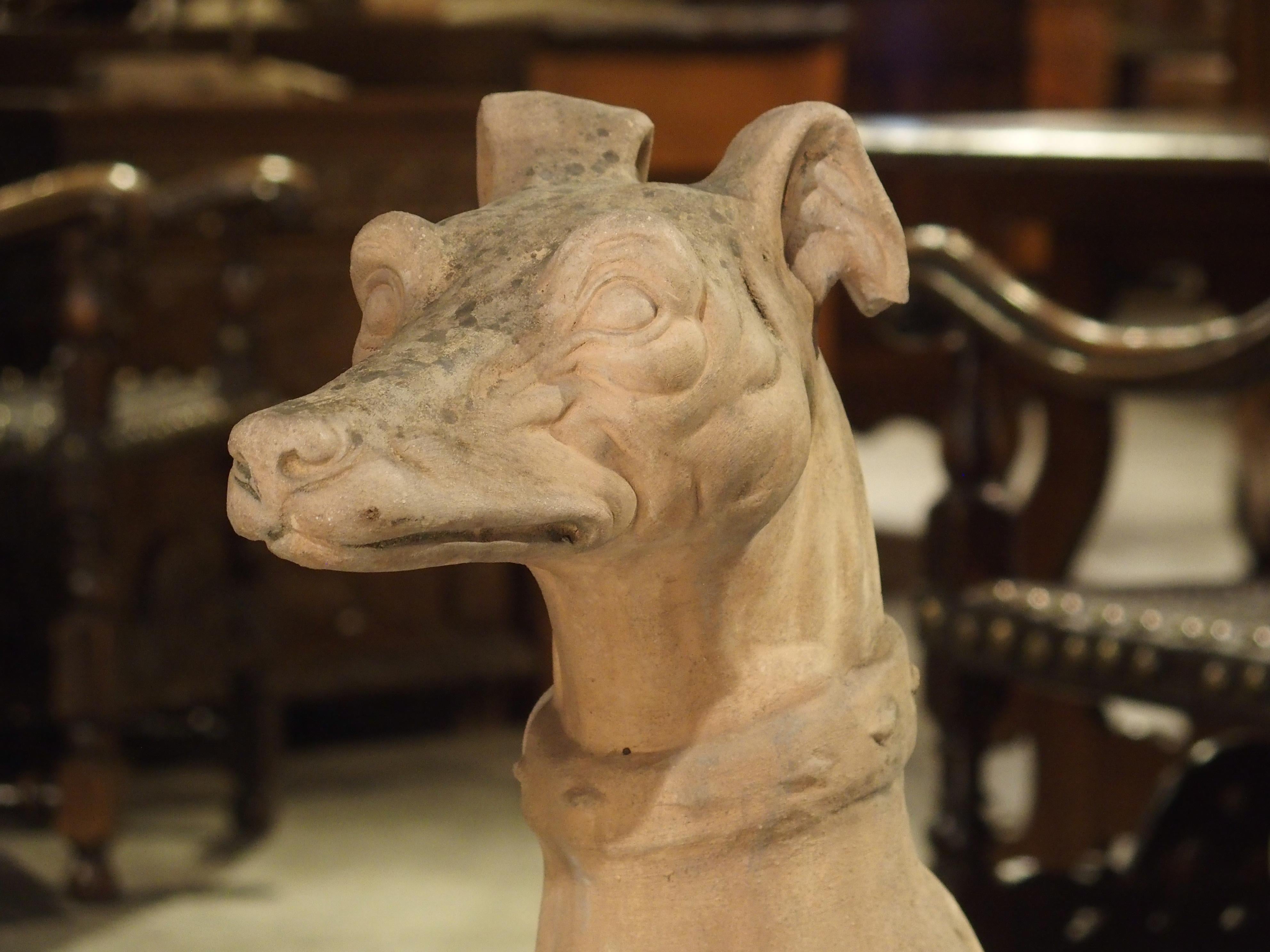 Antique French Terra Cotta Greyhound Statue 2