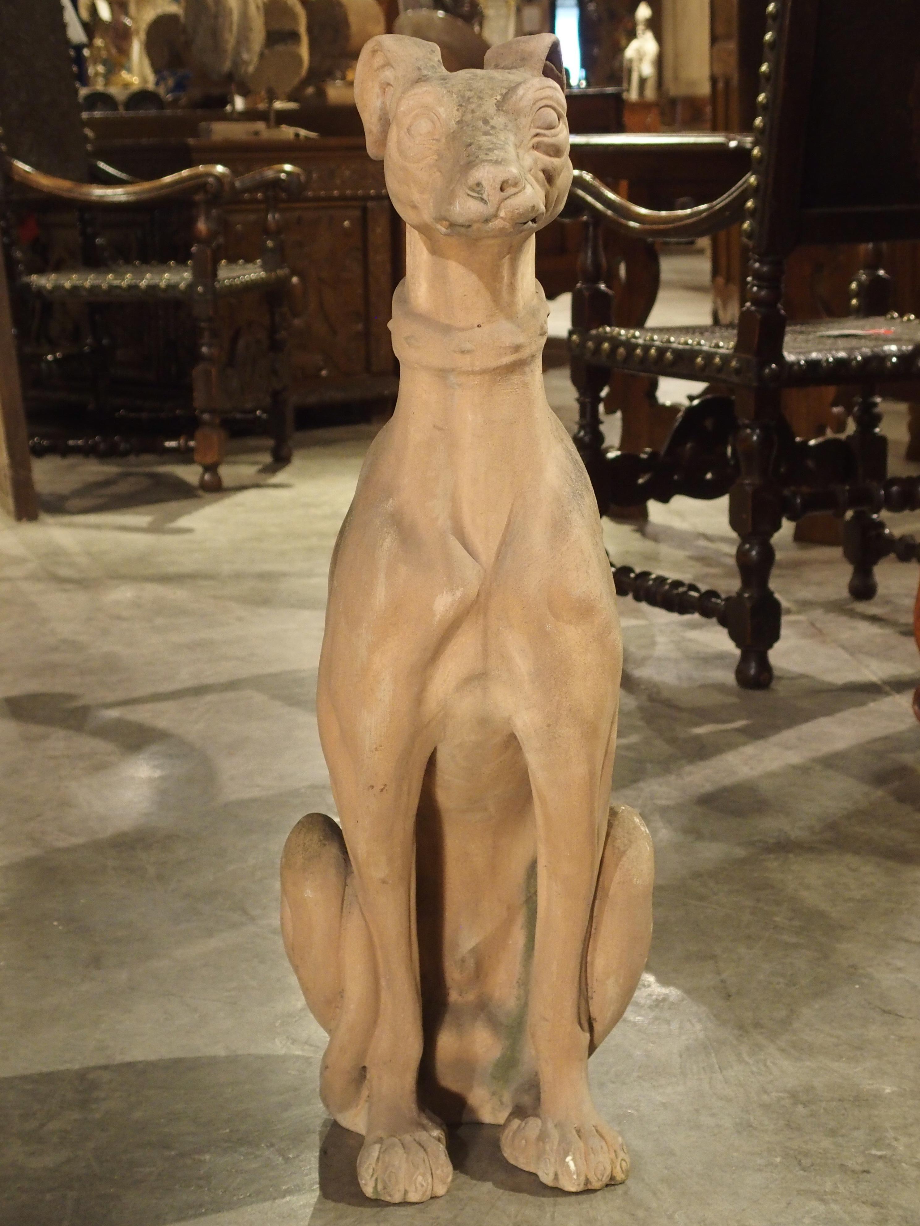 Antique French Terra Cotta Greyhound Statue 3