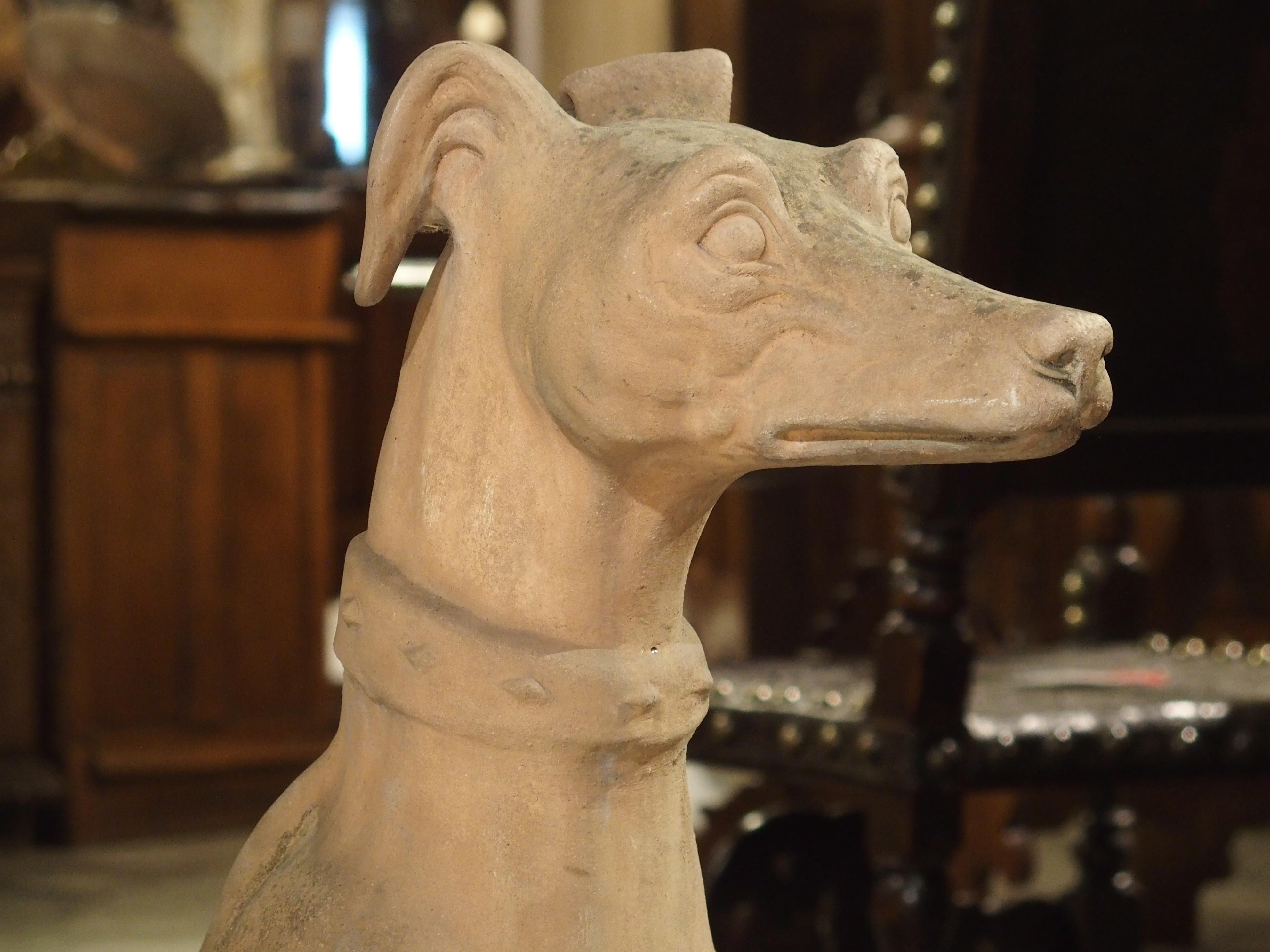 Antique French Terra Cotta Greyhound Statue 6