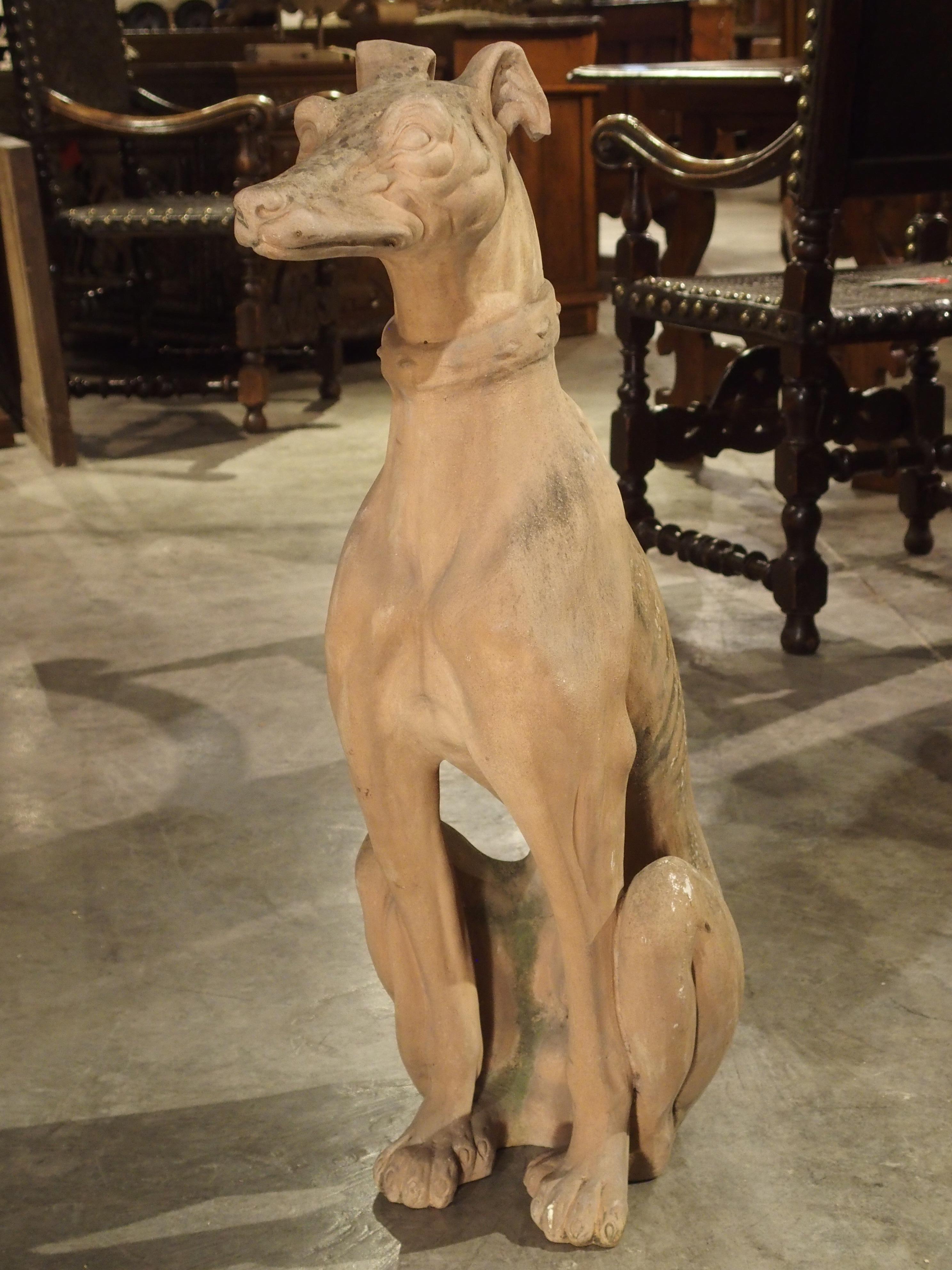 Terracotta Antique French Terra Cotta Greyhound Statue