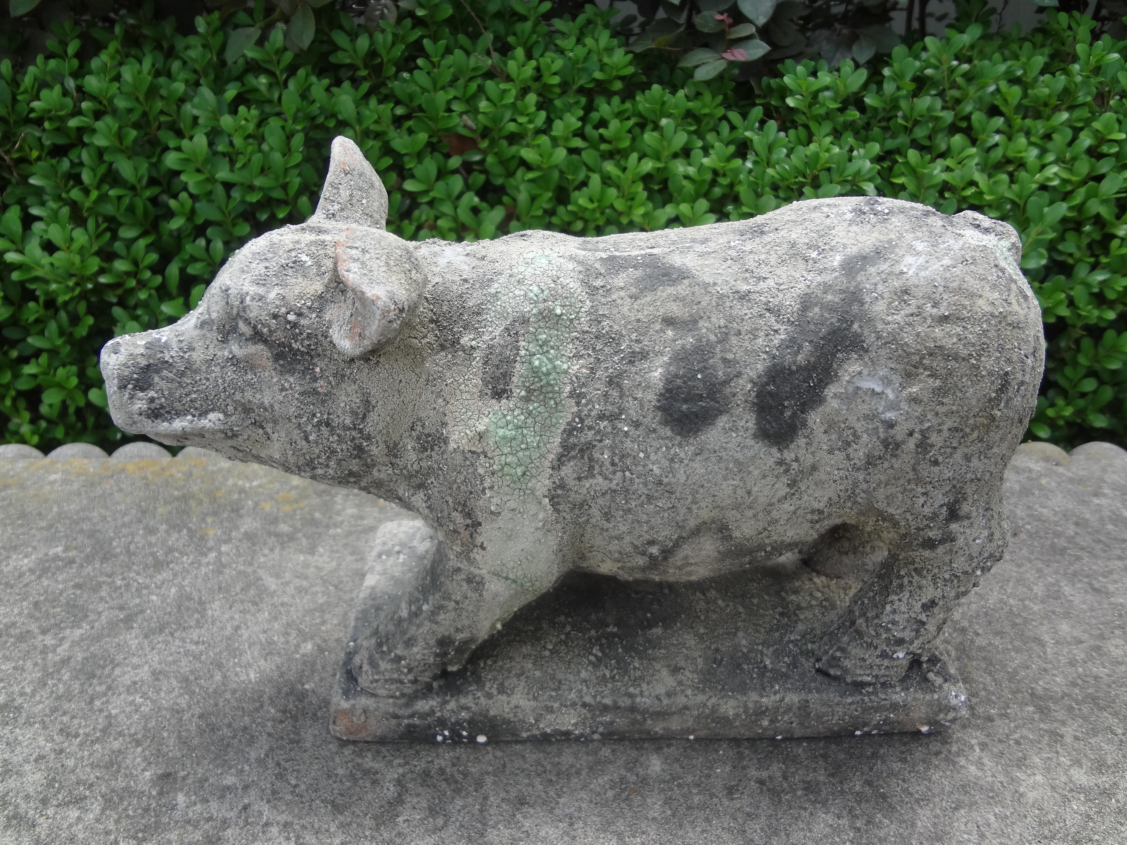 terra pig