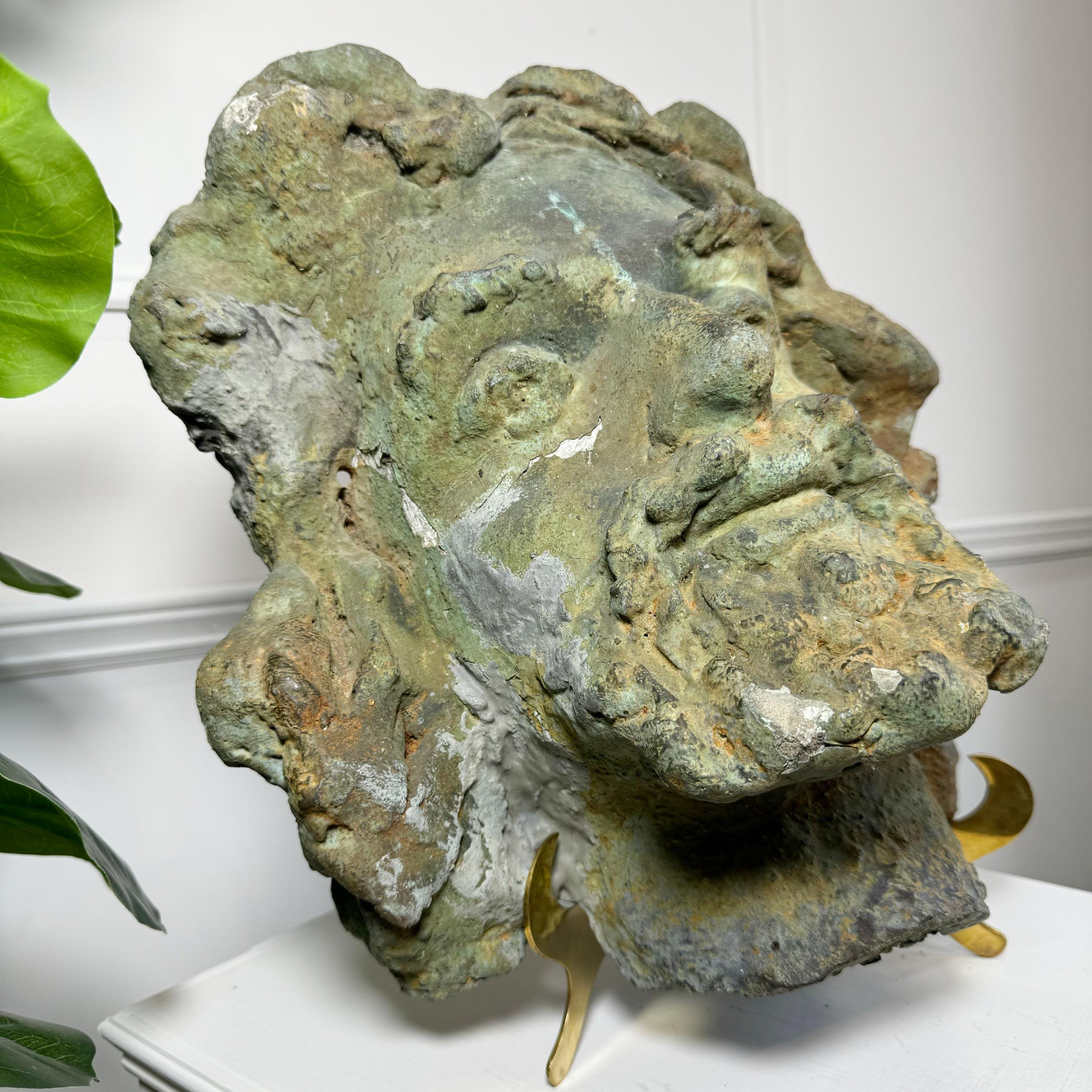 Antique French Terracotta Head of a Bearded Man For Sale 1