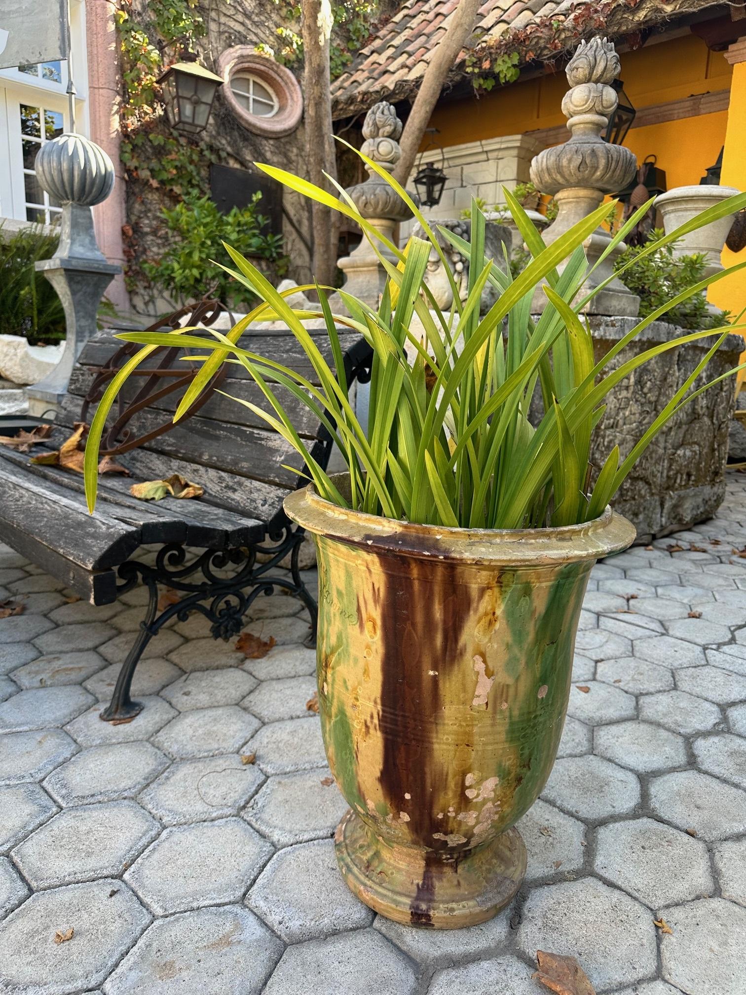 Antike Französisch Terrakotta Pflanzer Anduze Farbe Übertopf jardinière Urne Topf LA CA (Handgeschnitzt) im Angebot