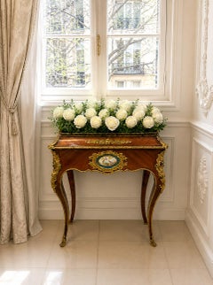 Antique Antique French Victorian Jardiniere Stand Porcelaine en Bois de Roi Monté sur Ormolu