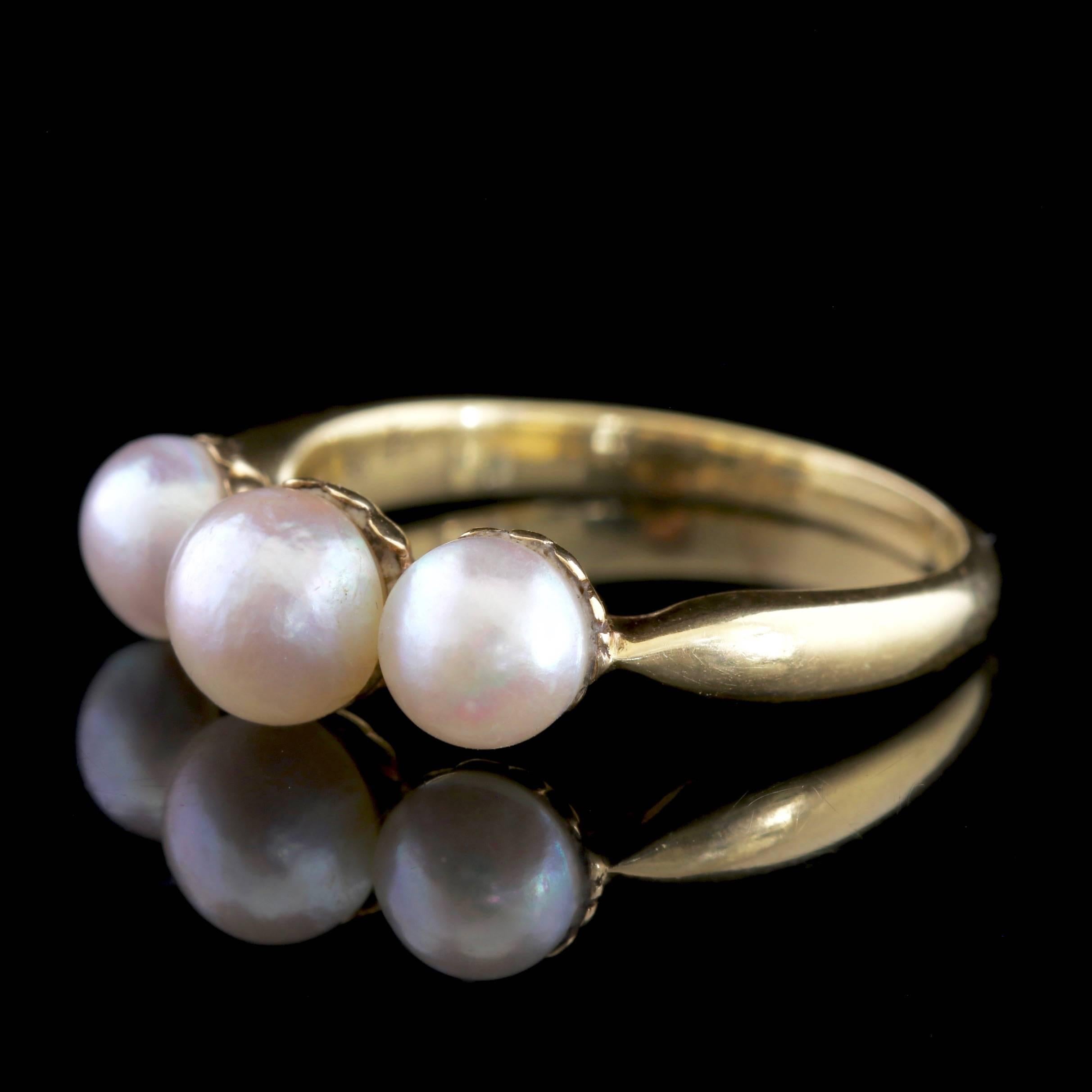 To read more please click continue reading below-

This fabulous antique Victorian 18ct Gold French trilogy ring is set with three fabulous pearls, Circa 1900. 

A Trilogy of stones represents past, present and future Or those 3 little words 'I love