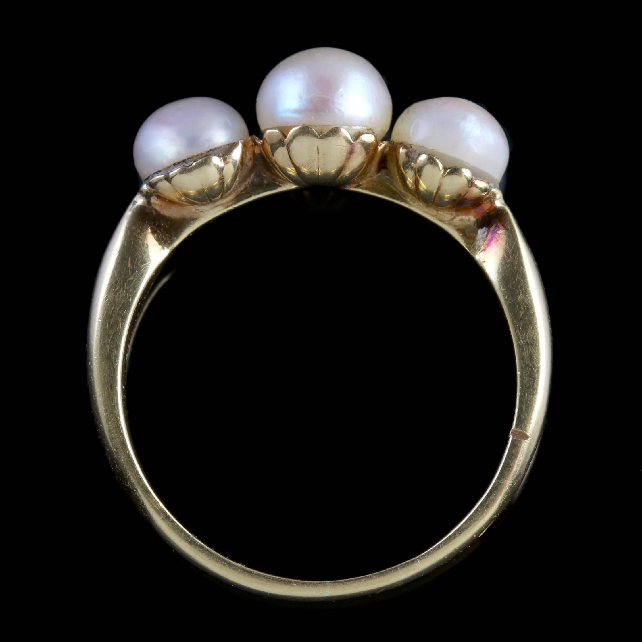 Antique French Victorian Pearl Ring 18 Carat Gold, circa 1900 3