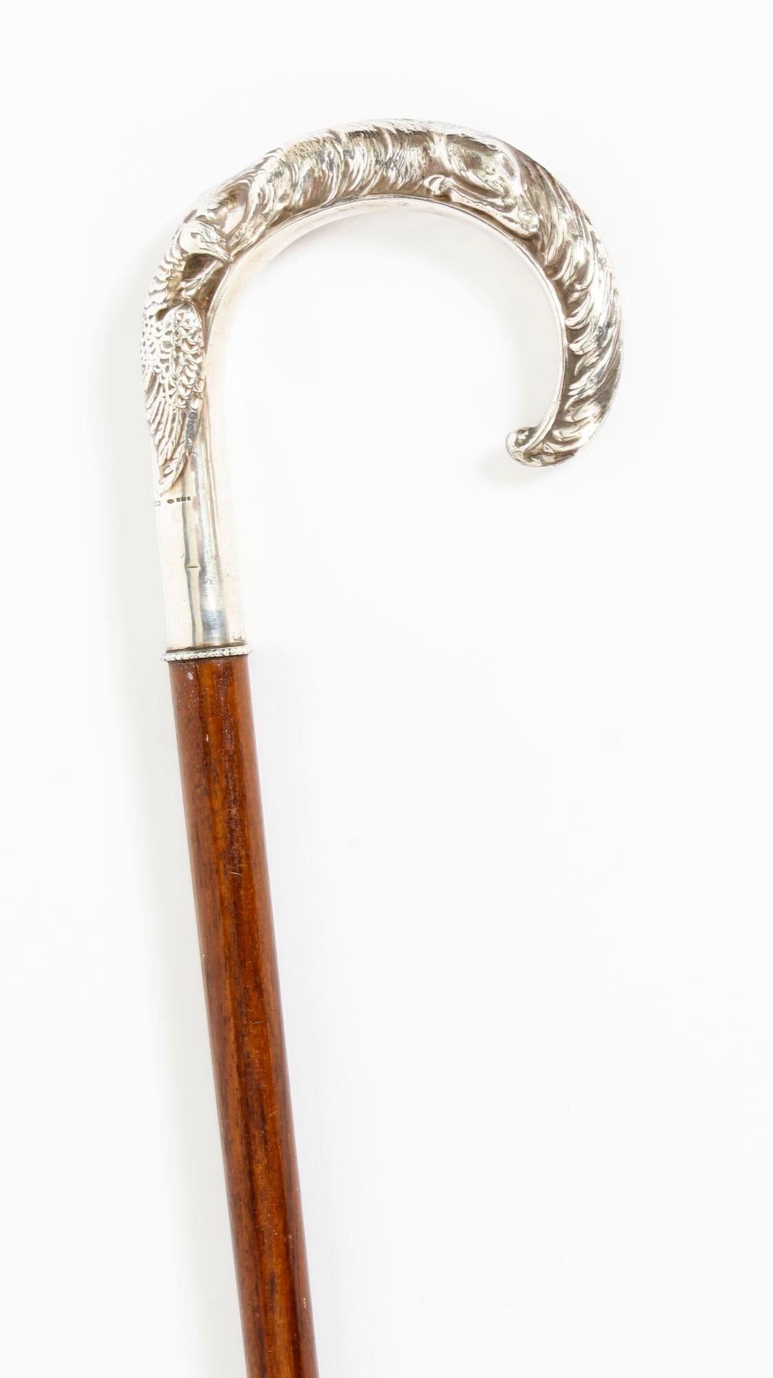 This is a fantastic antique French gentleman's walking stick with a sterling silver crook handle and bearing London import marks, circa 1880 in date.

It has a very decorative sterling silver curved crook handle in the form of a finely cast fox