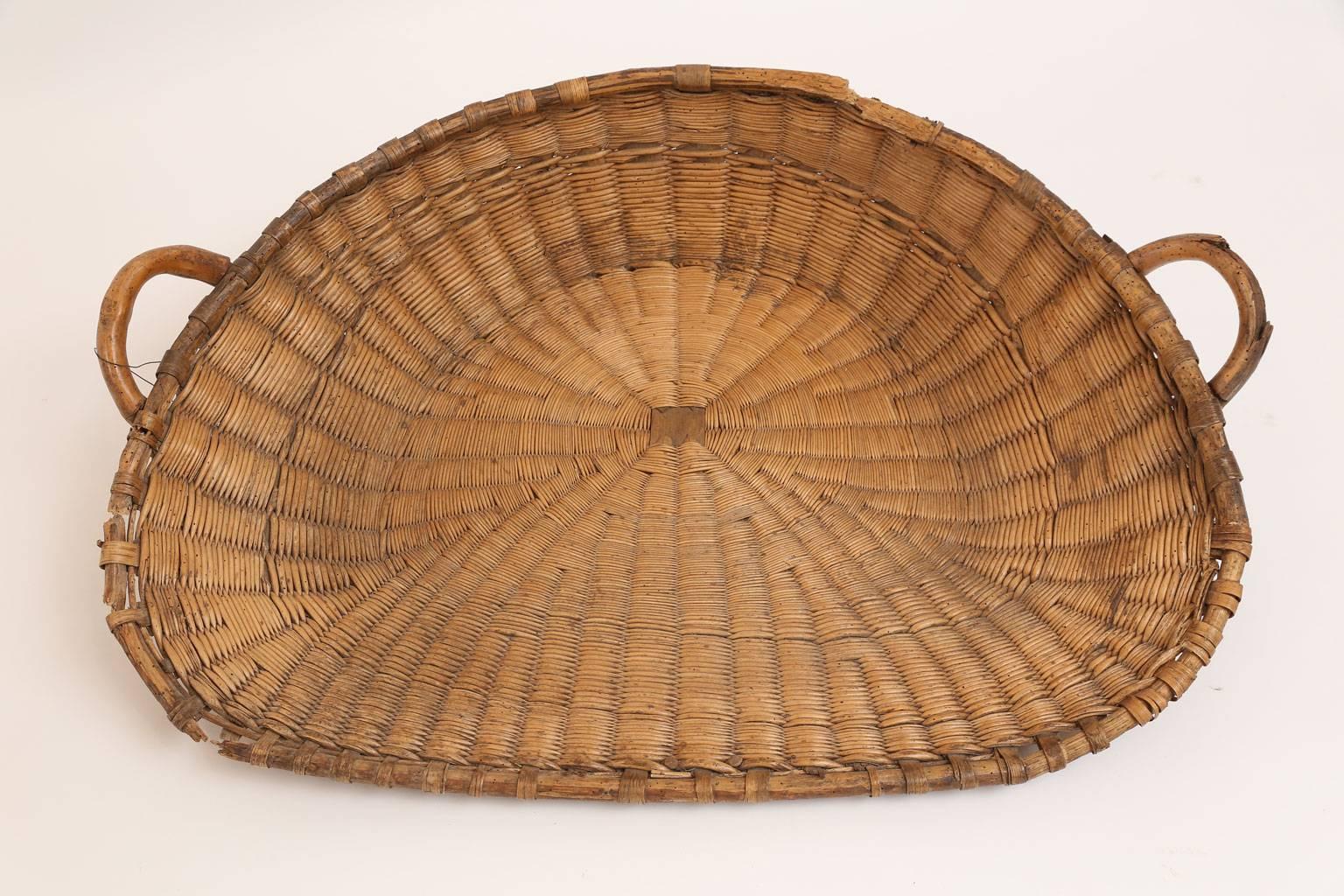 Antique French Winnowing Basket In Good Condition In Houston, TX