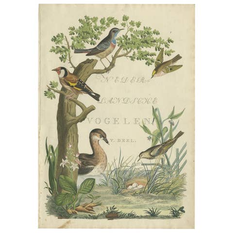 Frontispiece – Nederlandsche Vogelen Vol. V by Nozeman & Sepp, 1829