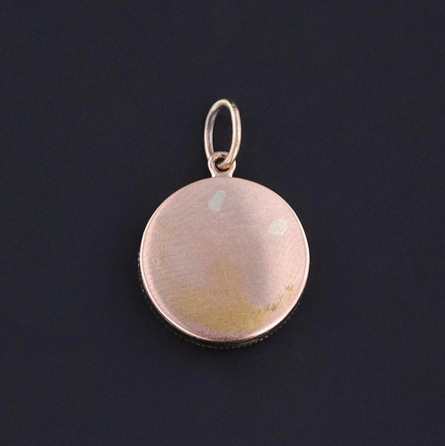Late Victorian Antique Gemstone Insect Pendant of 14k Gold