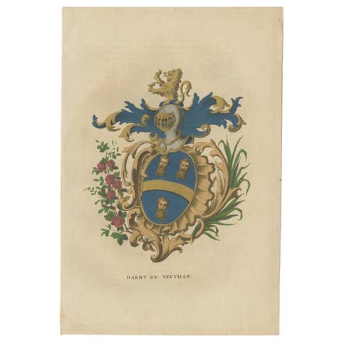 Antique Genealogy Print of the 'Baert de Neuville' Family by Herckenrode, 1862