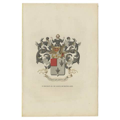 Antique Genealogy Print of the 'D'Arschot dit de Dieve de Rotselaer' Family 1862