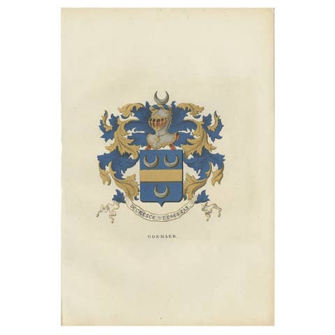 Antique Genealogy Print of the 'Odemaer' Family by Herckenrode, 1862