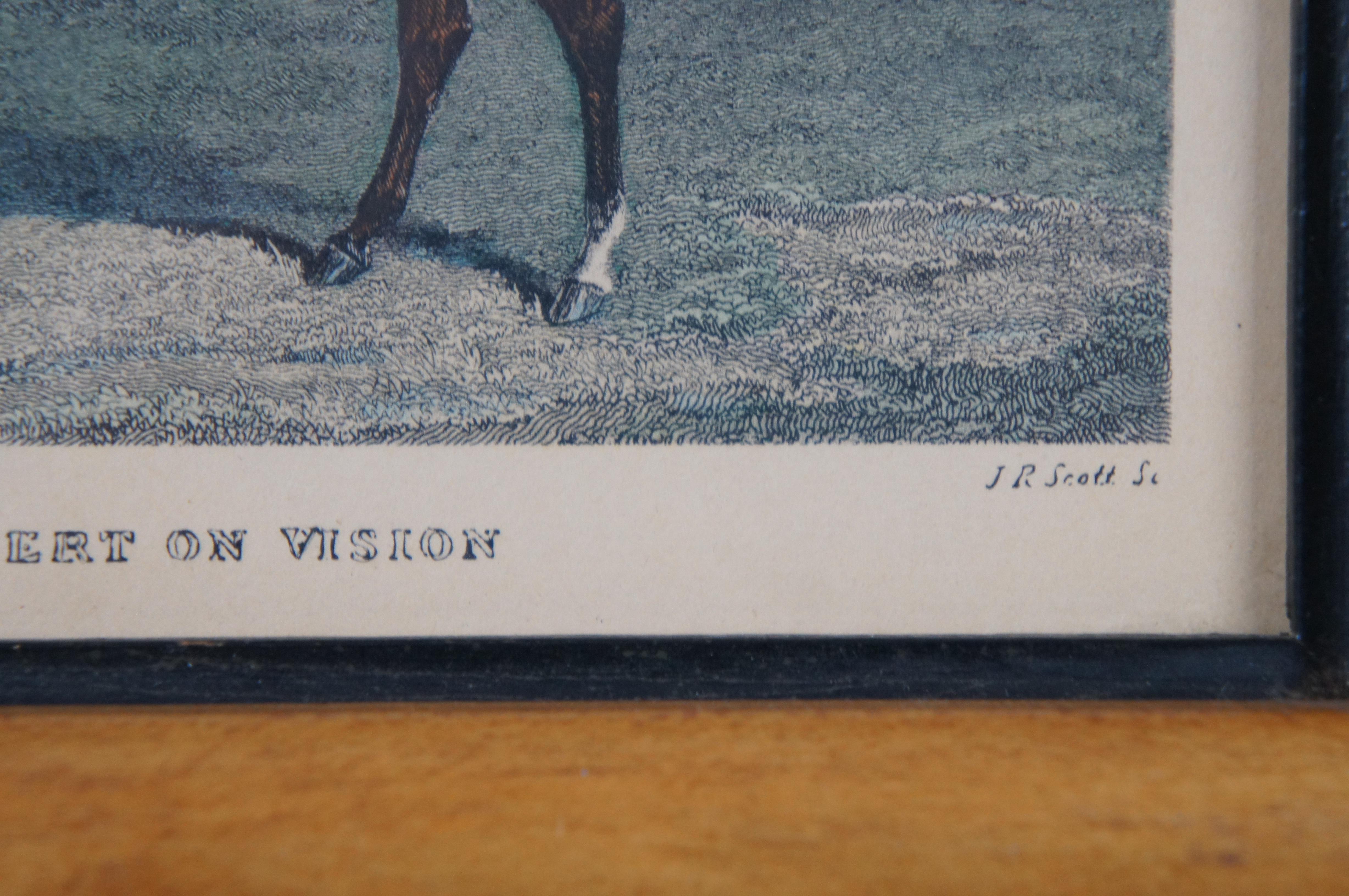 Antique General Gilbert on Vision Colored Equestrian Horse Jockey Engraving 2