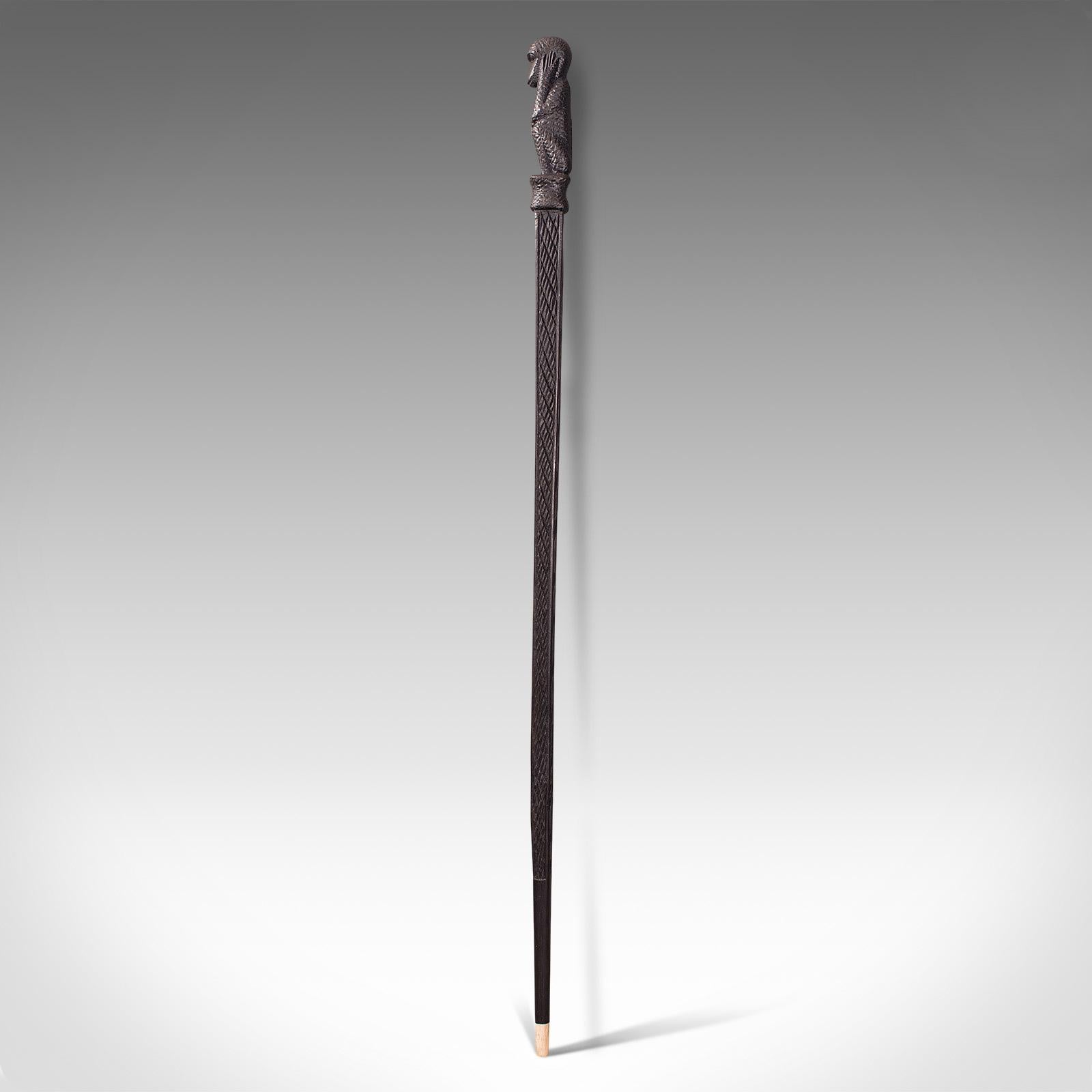 gentlemens cane