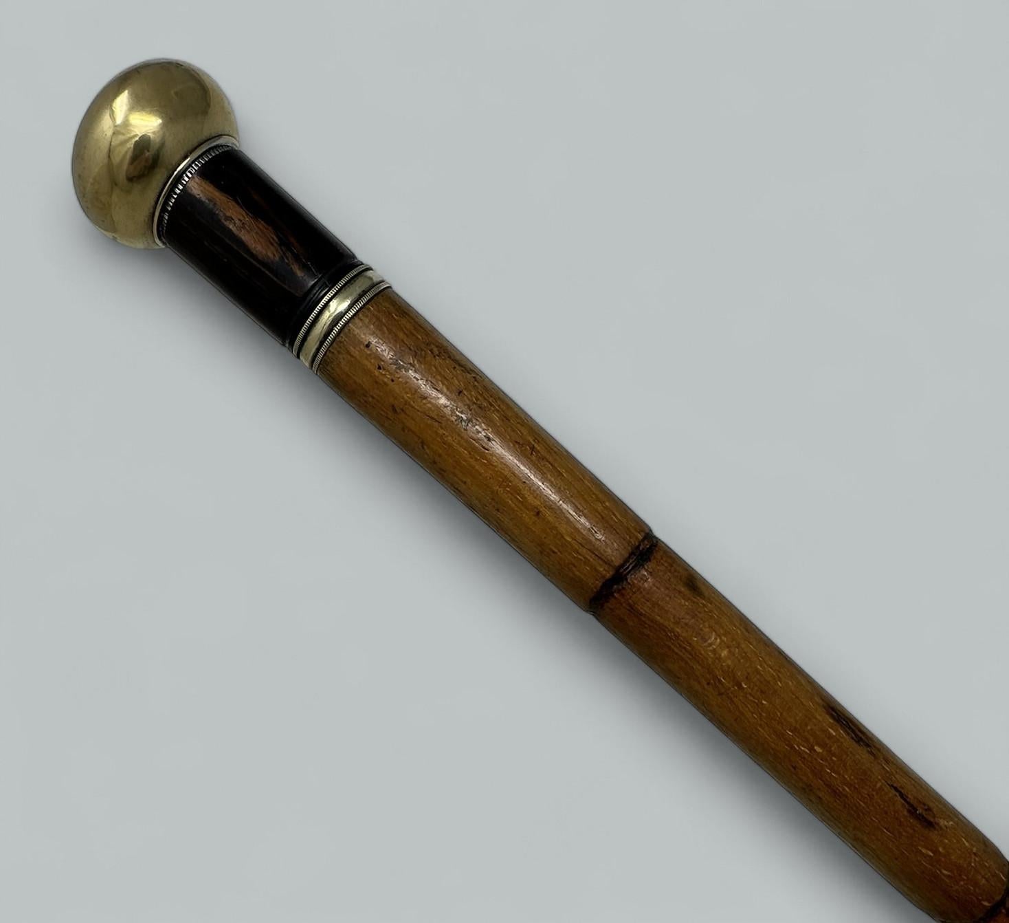 Antique Gentlemans Ladys Gadget Medici�ón Bastón de bambú inglés Bastón RARO Inglés en venta