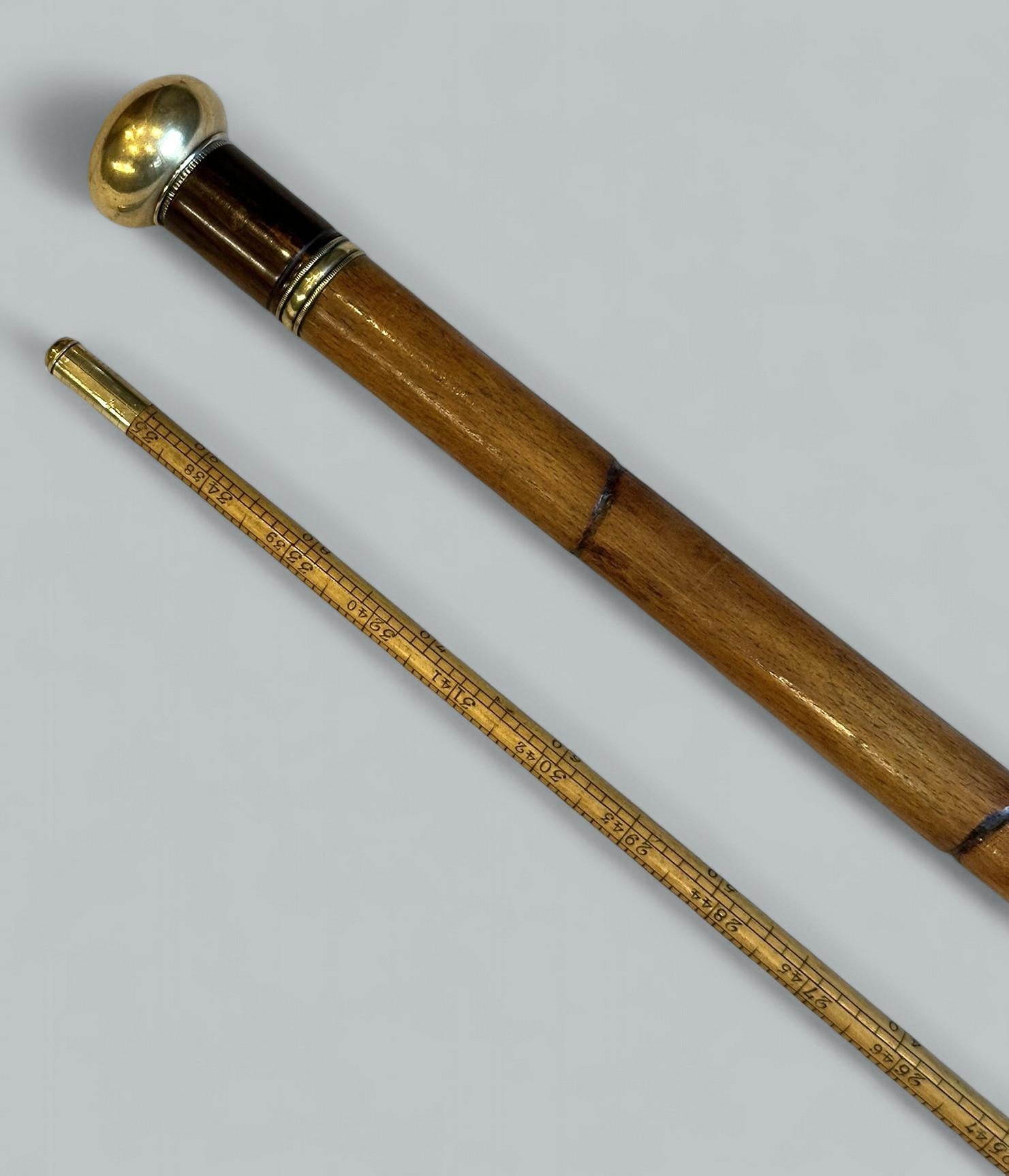 Antique Gentlemans Ladys Gadget Medición Bastón de bambú inglés Bastón RARO Victoriano temprano en venta
