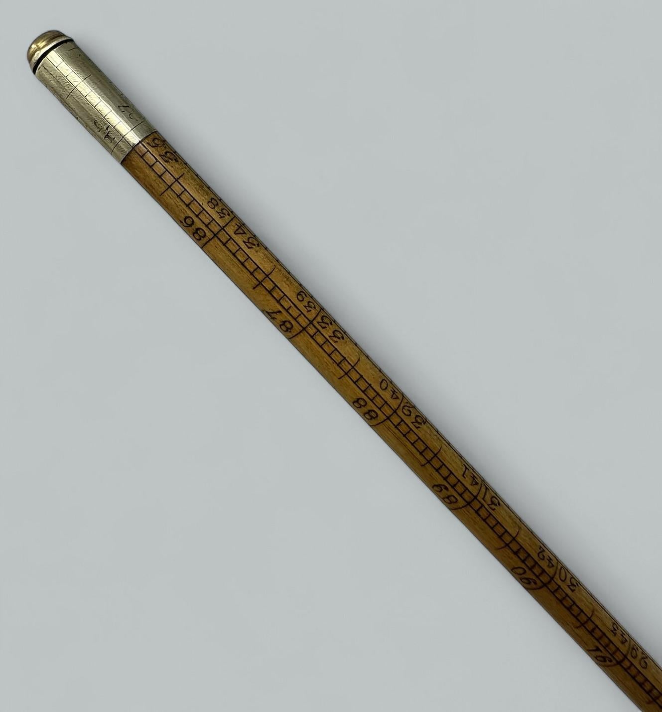 Antique Gentlemans Ladys Gadget Medición Bastón de bambú inglés Bastón RARO en Bueno estado para la venta en Dublin, Ireland