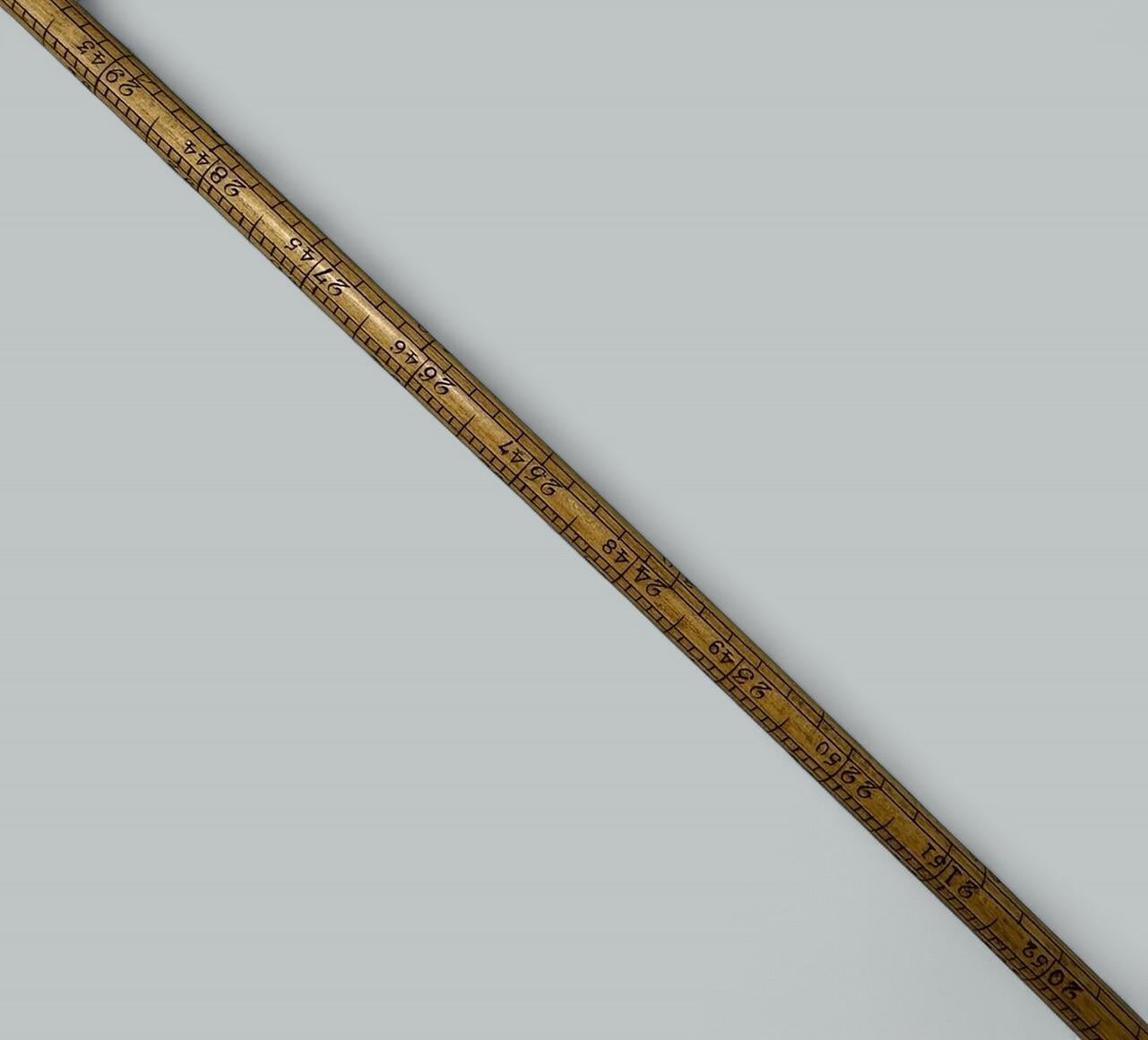 Antique Gentlemans Ladys Gadget Medición Bastón de bambú inglés Bastón RARO siglo XIX en venta