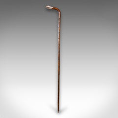 Antique Gentleman's Walking Stick, English, Coromandel, Silver, Cane, Edwardian