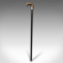 Antique Gentleman's Walking Stick, English, Ebonised, Horn, Victorian, C.1850