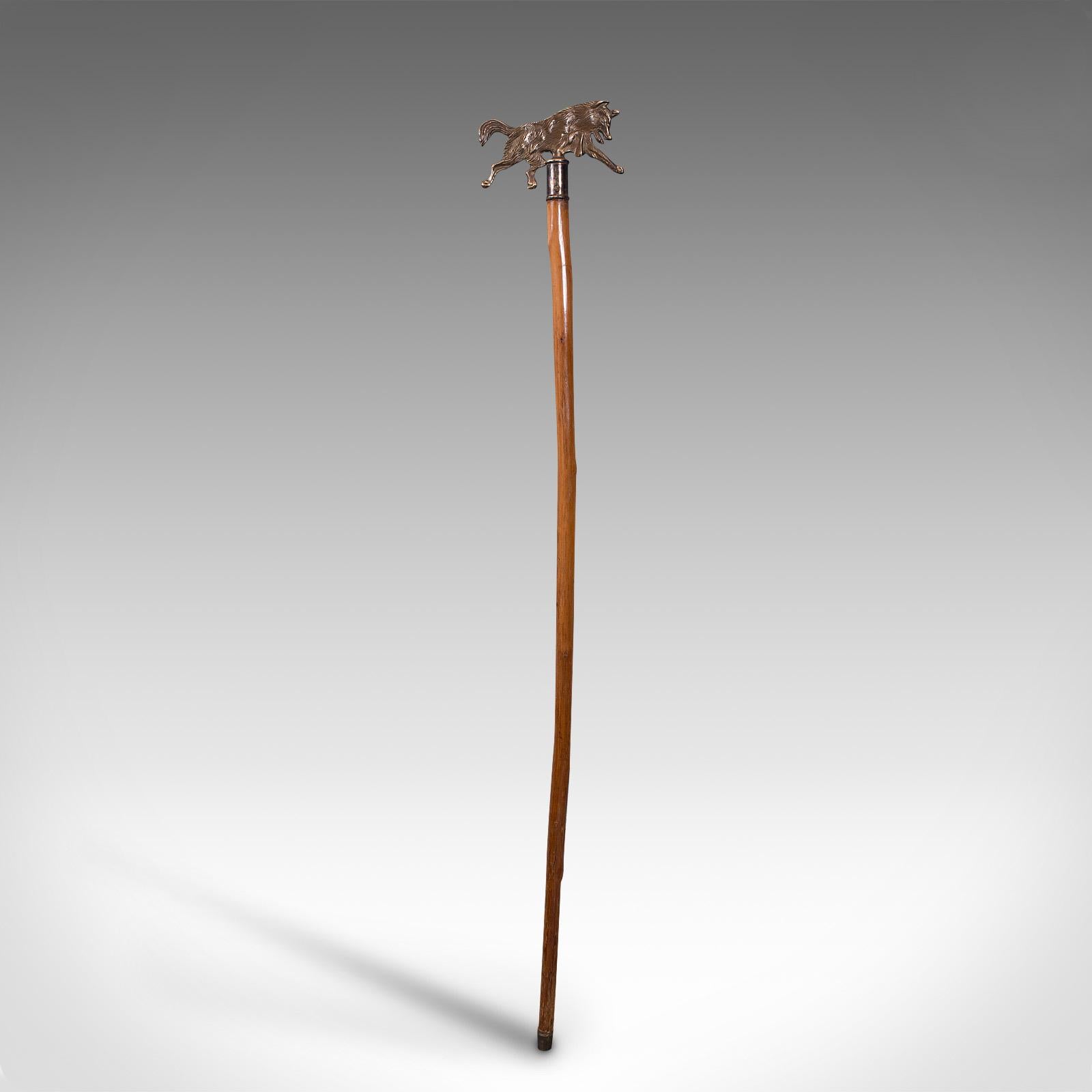 This is an antique gentleman's walking stick. A German, bentwood hazel and brass cane with Black Forest taste, dating to the Edwardian period, circa 1910.

Superb Black Forest craftsmanship with a tactile and visual appeal
Displays a desirable